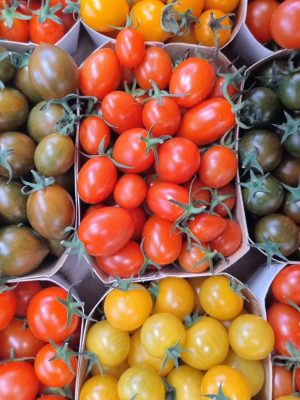 Screenshot 2026-04-22 alle 12.56.05