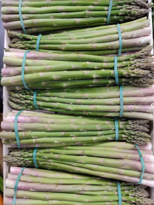 Screenshot 2026-04-22 alle 13.01.43