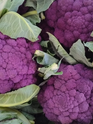 Screenshot 2026-04-22 alle 13.01.57