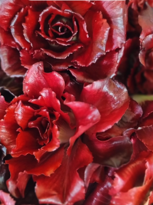 Screenshot 2026-04-22 alle 13.02.57