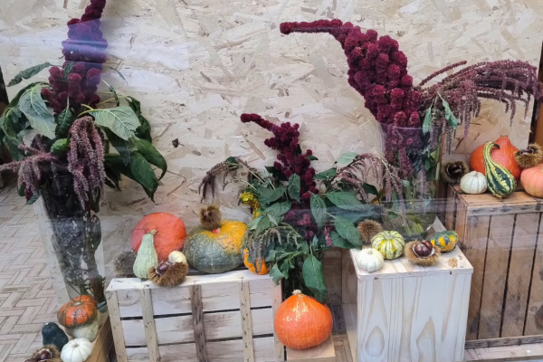 Screenshot 2026-04-22 alle 13.04.25